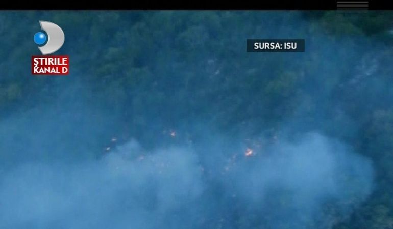 Zeci de hectare de padure din Caras Severin ARD fara incetare!